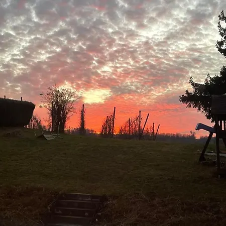 Apfelbluete Am Bodensee * Markdorf
