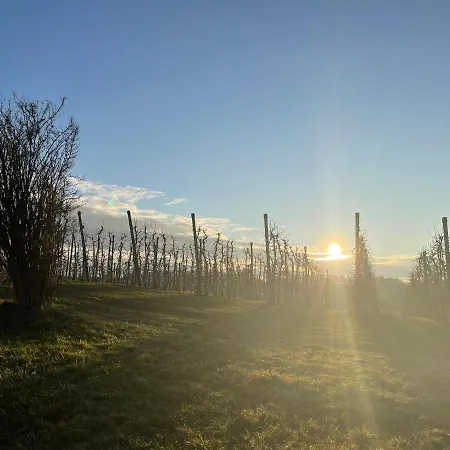 Apfelbluete By Heinke Wohnraum Apartmán Markdorf