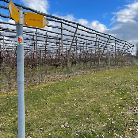 Apfelbluete By Heinke Wohnraum *