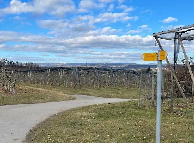 Apfelbluete By Heinke Wohnraum Appartement Markdorf