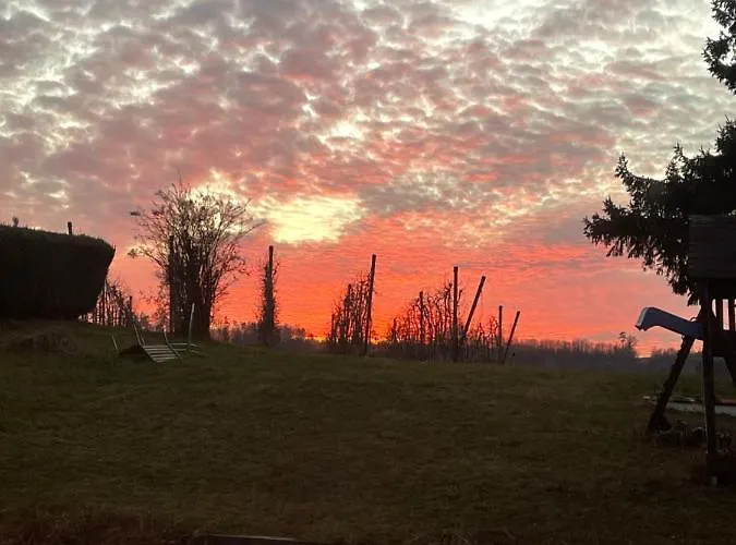 Apfelbluete By Heinke Wohnraum * Markdorf