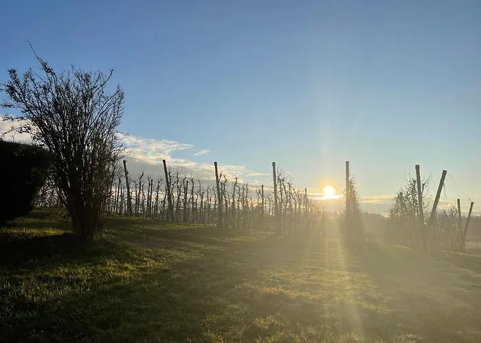 Apfelbluete By Heinke Wohnraum Appartement Markdorf