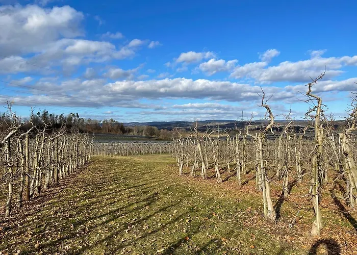 Apfelbluete By Heinke Wohnraum *