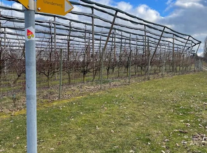 Apfelbluete By Heinke Wohnraum *